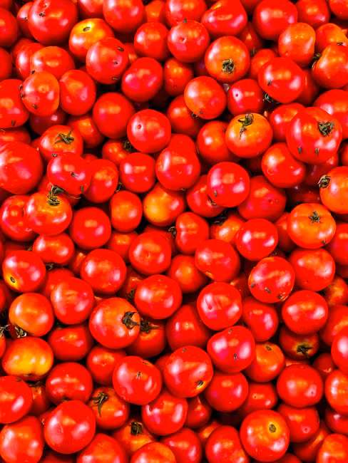 Tomate Italiano (kg)